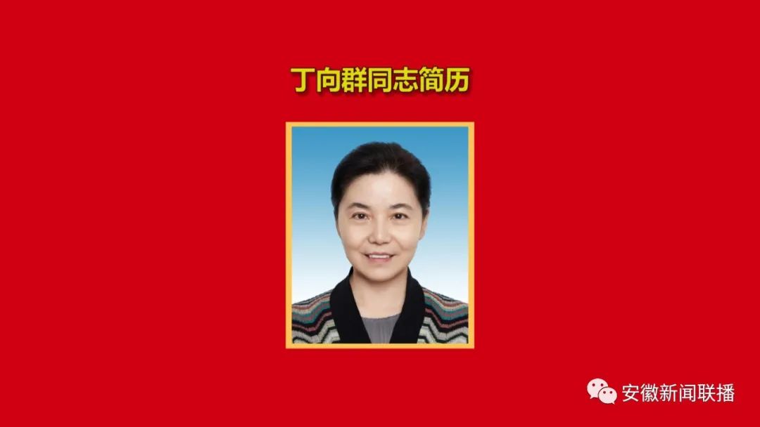 中国共产党安徽省第十一届省委常委简历