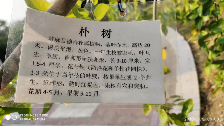 陪你一起看湖北省广水一中①——走进植物王国
