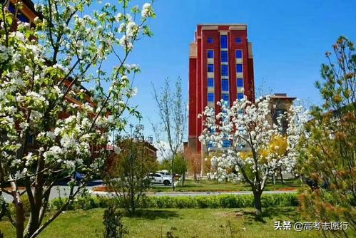 读这2所大学，进国家电网机会也很大，高考生容易忽略