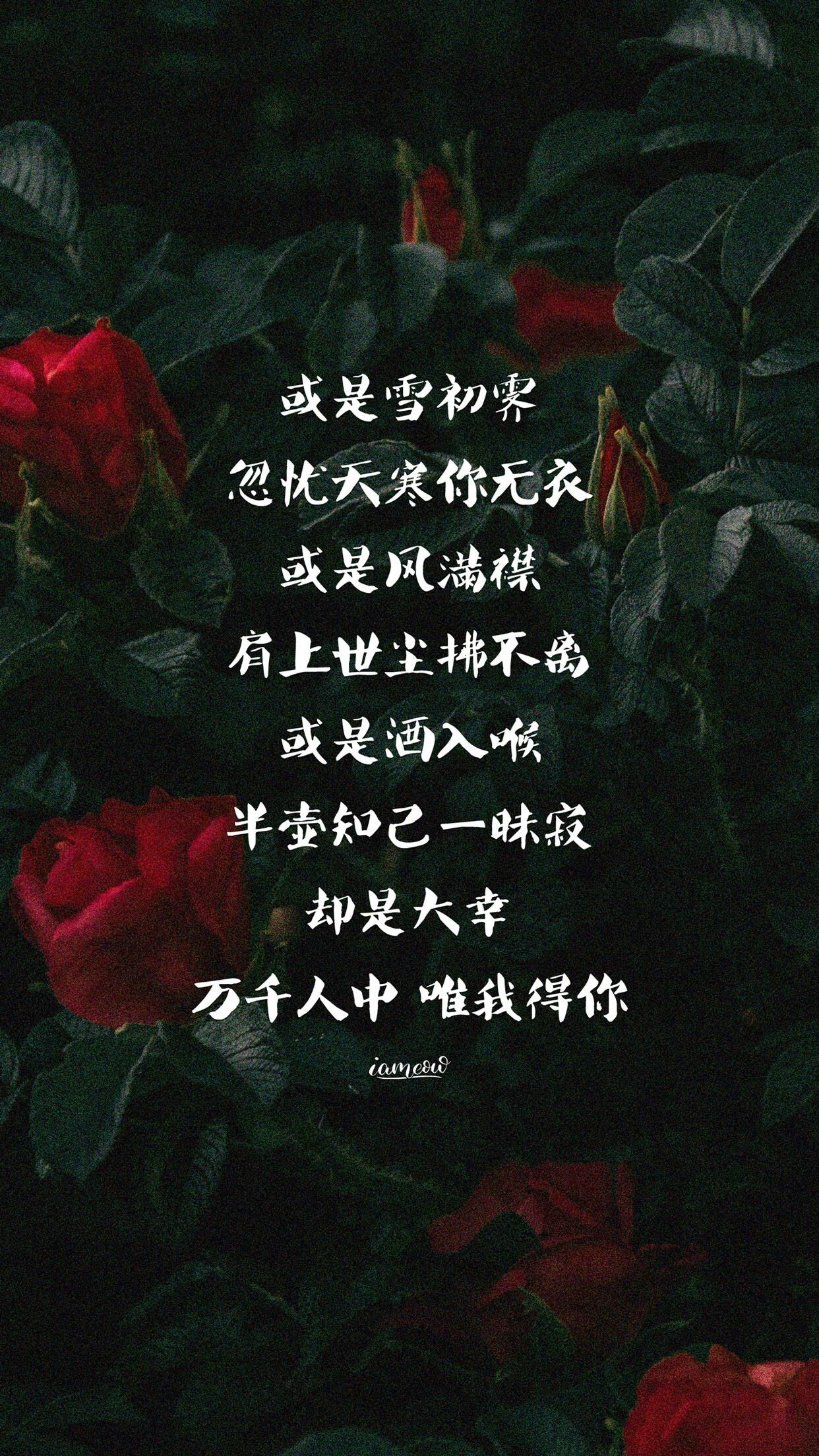 岁寒知春暖，苦尽即回甘——岁末大寒，新春之盼：大寒过后就是年