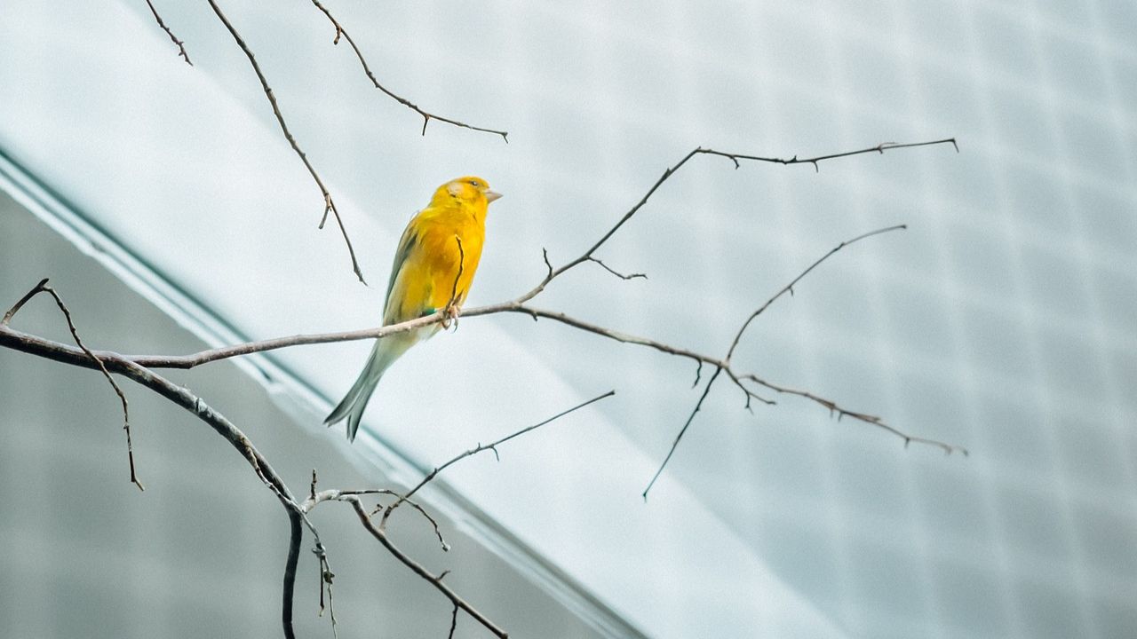 「试写2019全国II卷高考作文」忆峥嵘岁月，斫光芒坦途
