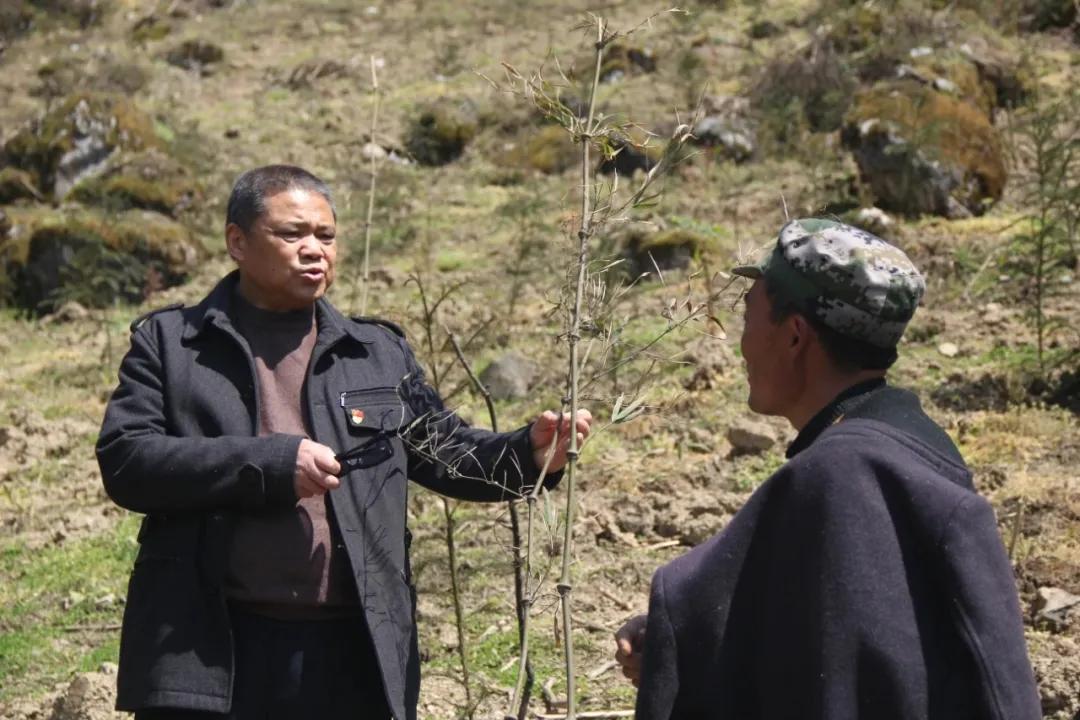 每月之星 | 在环保征途上演绎“三牛精神”的老将