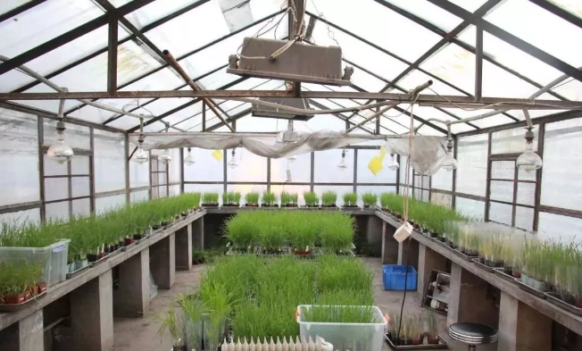 没想到，西北农林科技大学竟然有“两副面孔”