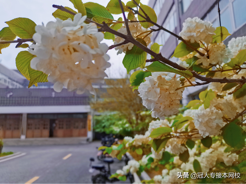 邯郸学院：公办招生人数排名第三的院校