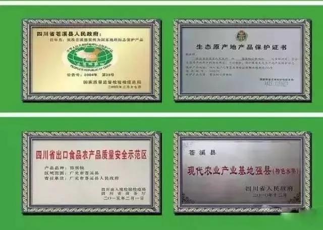 王中王，红阳红心猕猴桃，10块一个？食药价值极高，6种养生吃法