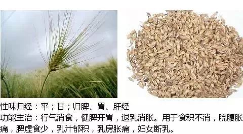 300个中草药图谱（附主治功效），知道一半就太牛了（上）