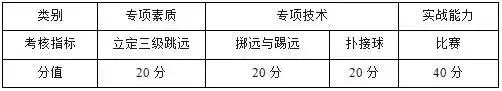 足球单招考试用什么杆(2019年体育单招足球项目考试方法、评分标准及考试安排公布)