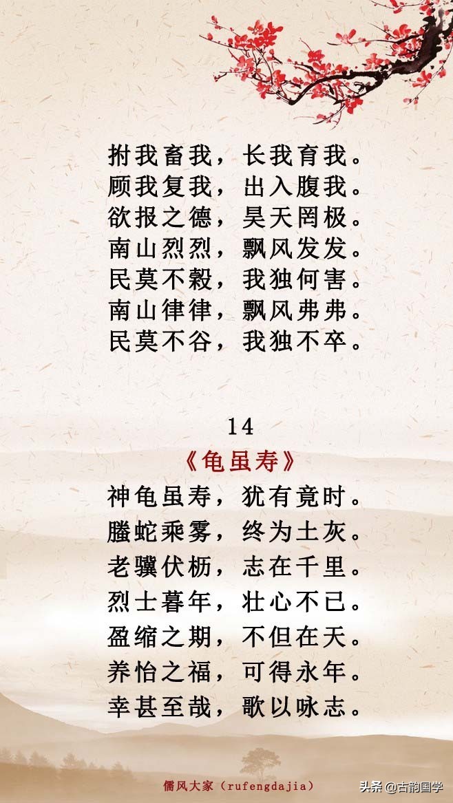 敬老孝亲的名言警句