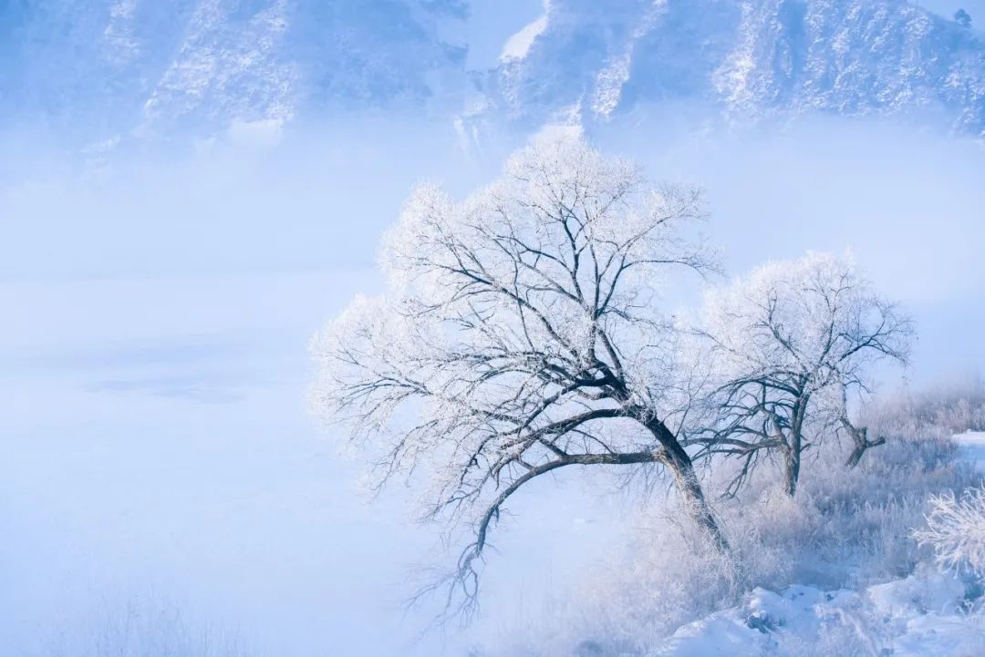 雪诗配雪景，与您尽赏冬雪之美