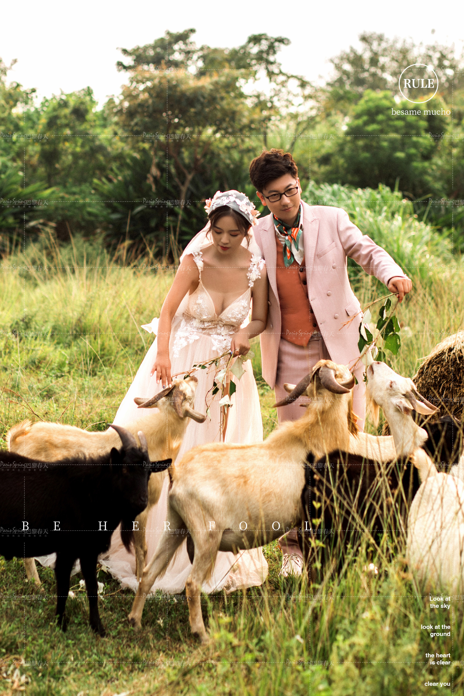 经典浪漫的求婚语录有哪些 优美的求婚语言大全