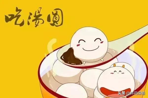 俗话：“上灯圆子落灯面，上元无雨多春旱”，是什么意思