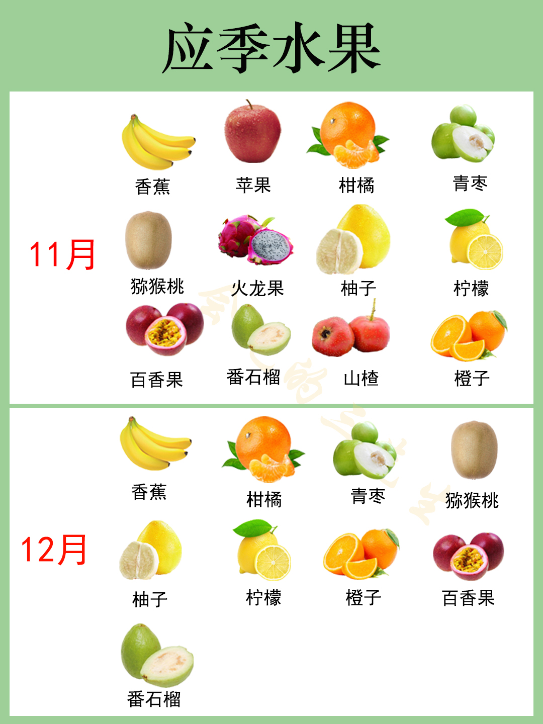 四季水果成熟期表图片