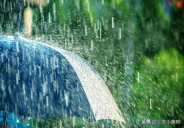 天气预报：“涝不涝，就看八月二十八”，雨水多吗？农谚能预兆