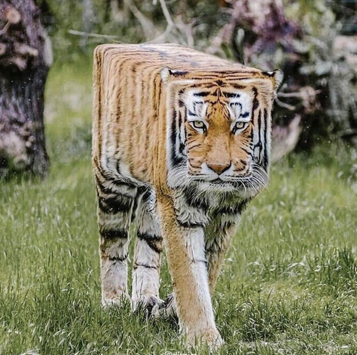 动物都变成方块的形状,虽然少了点真实感,但却很有二次元的味道