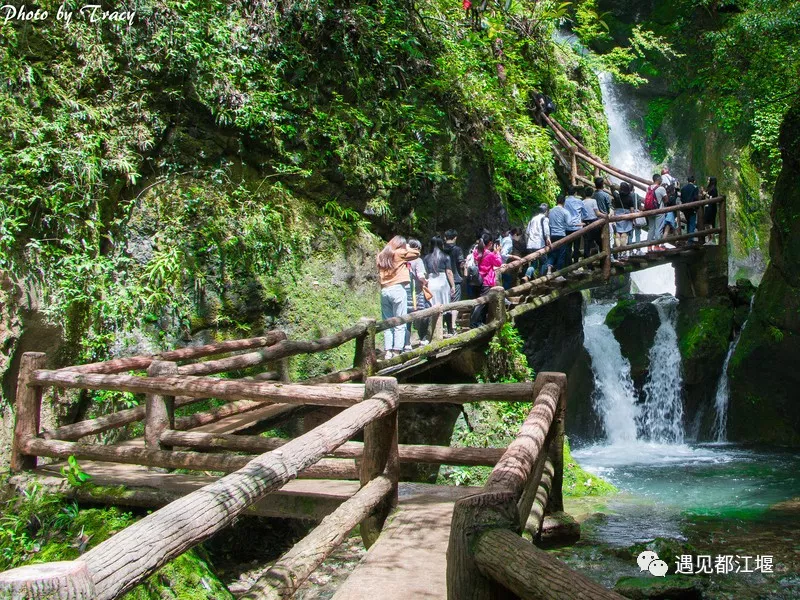 到青城山，解锁夏日最最最清凉的耍法