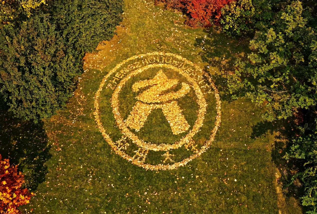 郑州大学法学院（超30门课满绩）