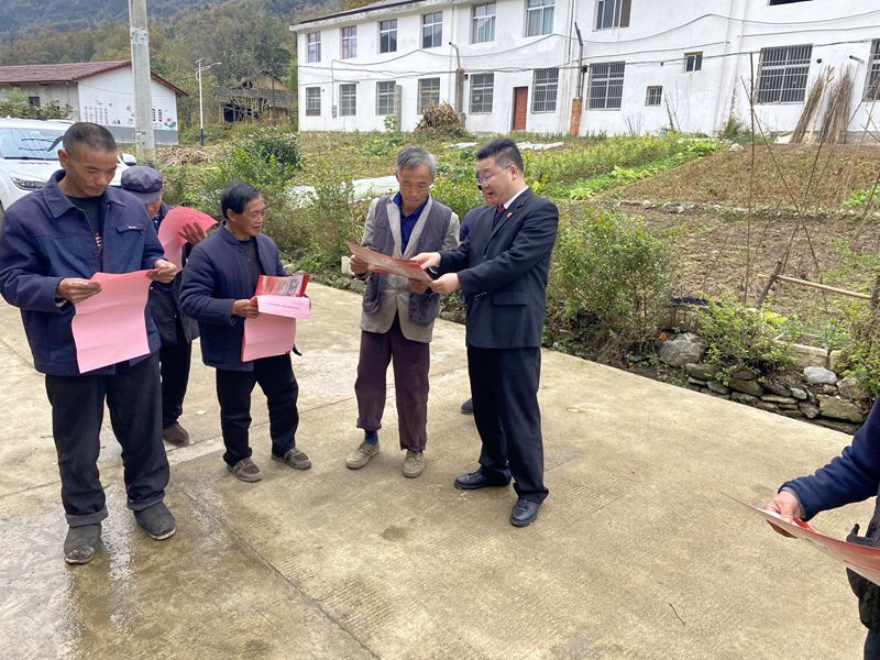 镇巴法院党支部和平安镇桑园坝村党支部联合开展“主题党日+结对共建、党员志愿服务”活动