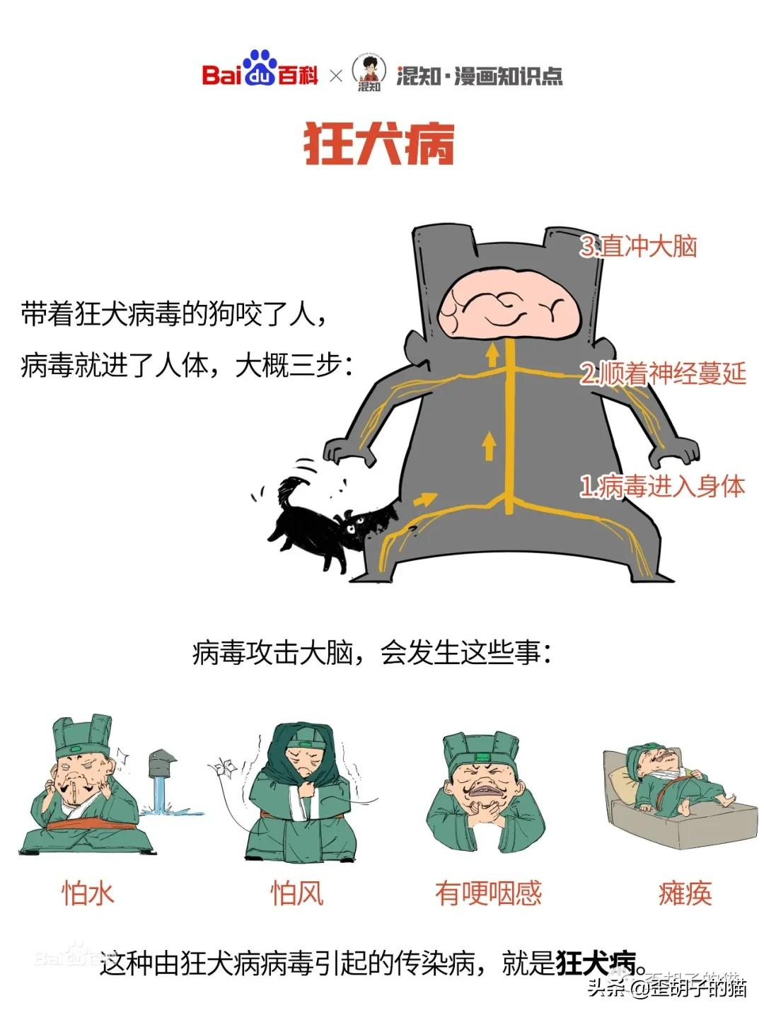 我被猫咪抓伤了,会死吗?《最全猫咪狂犬病脱恐大全》