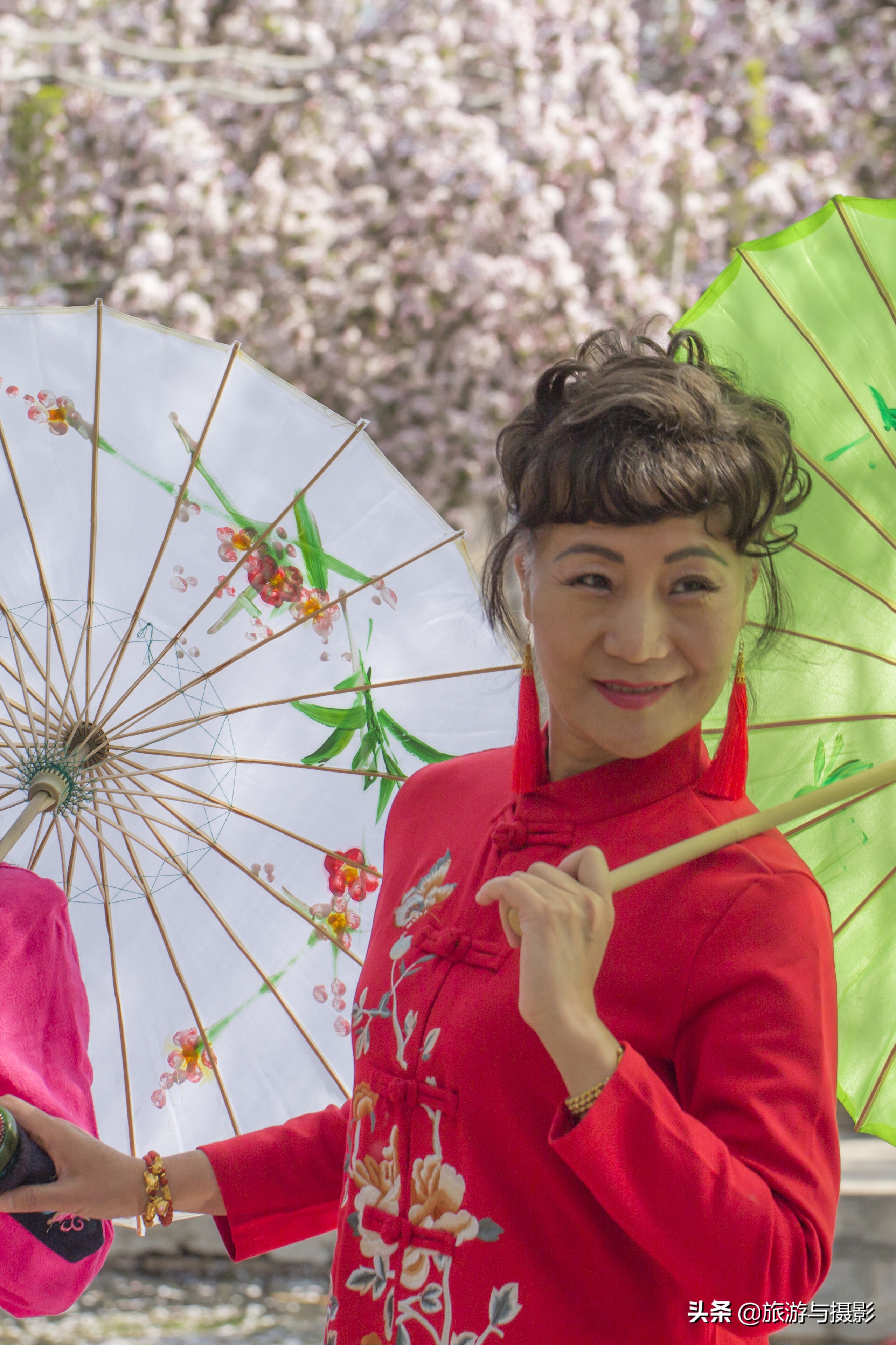 海棠花古诗美图38首