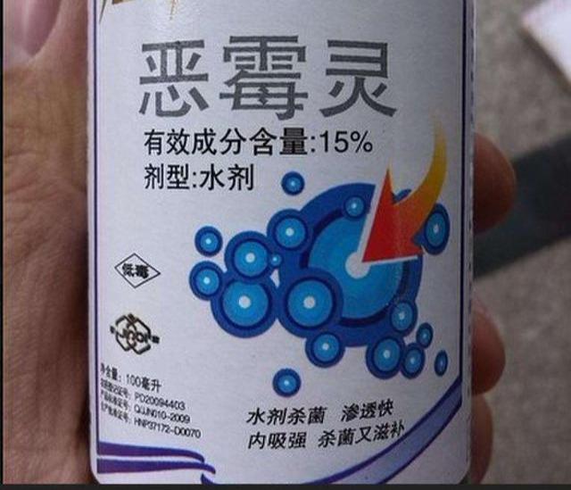 多菌灵、吡虫啉、磷酸二氢钾,用法对了,效果好10倍