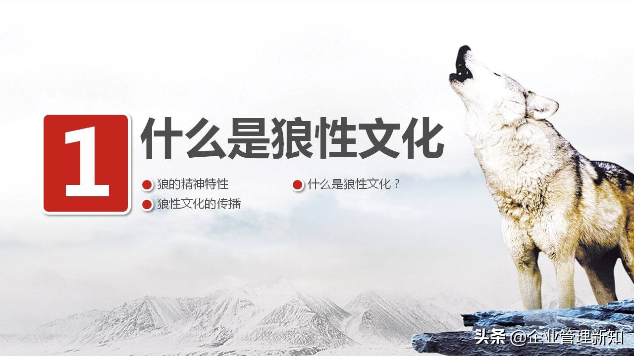 培训ppt（33页完整版）