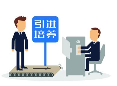 领导干部谈人才工作：各司其职，共筑发展之基