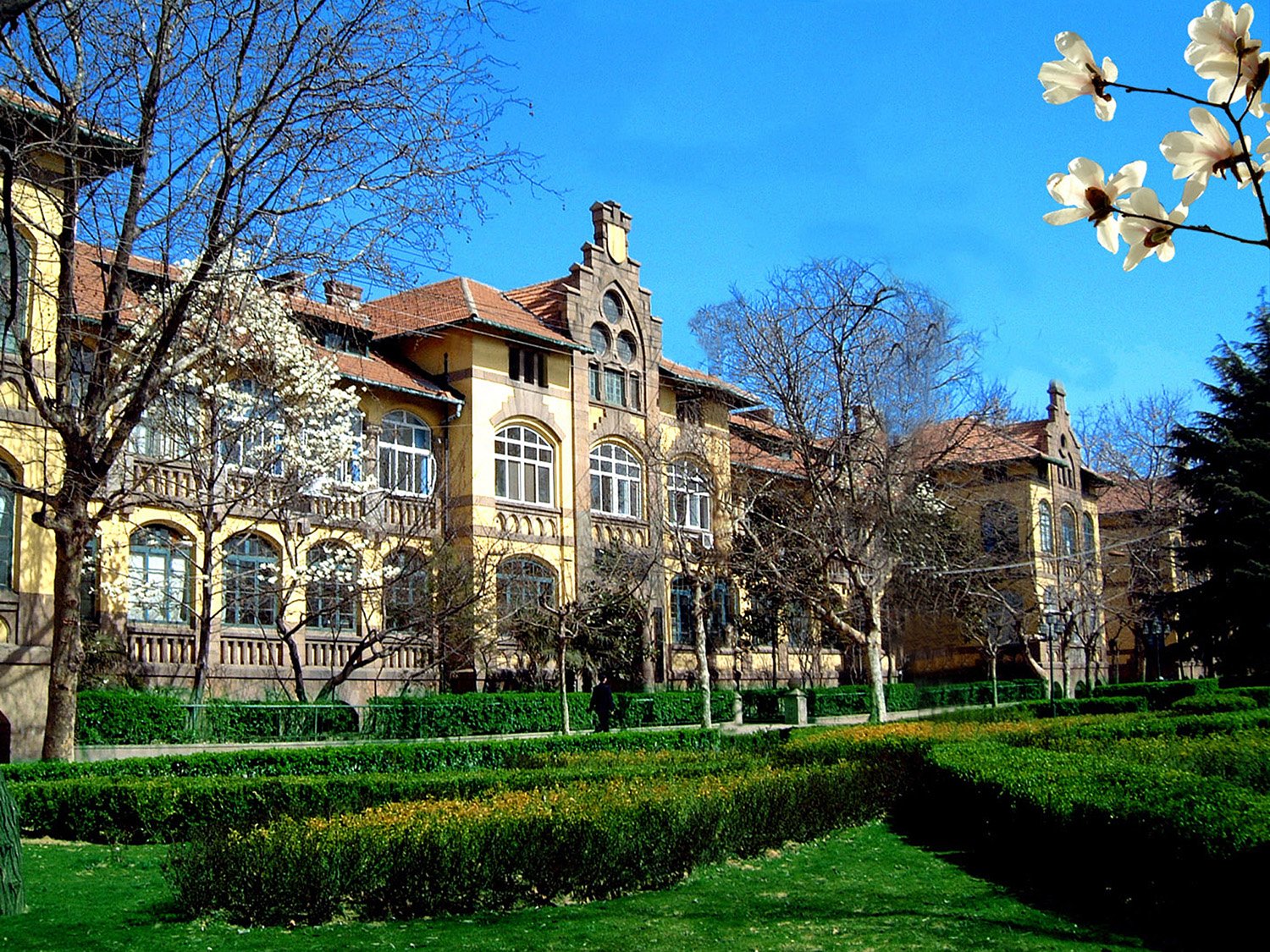 建设两所新大学，入围特大型城市，青岛高等教育还缺一样东西
