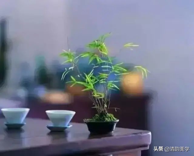 中国人喝茶，半是清欢半烟火