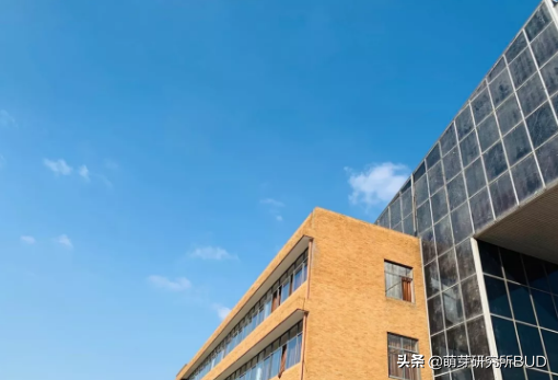 分享老母亲陪考初体验：6岁娃考小托福，孩子说的话让我吃惊