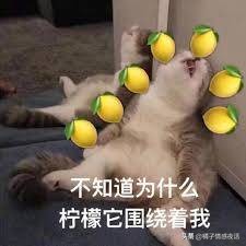 网红夫妻靠“收租”走红，被网友质疑“假”：他们的钱是哪来的？