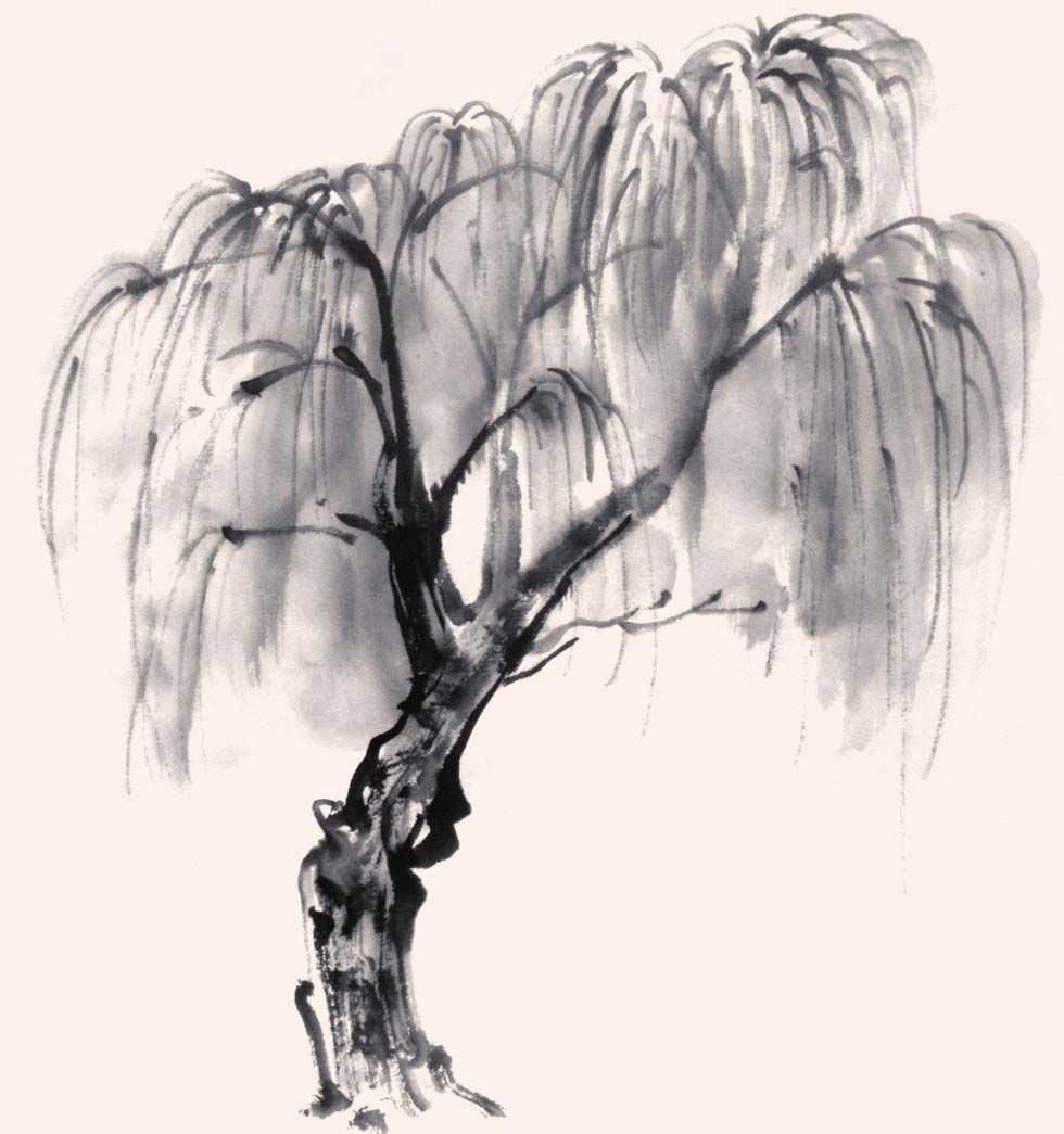 国画知识：分步骤图解教你画树，简单易学，收藏起来临摹学习