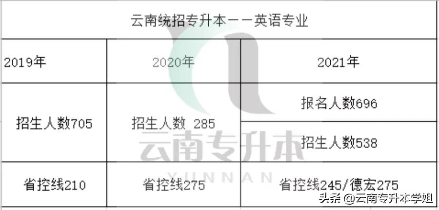 「专业解读①」学英语只能当老师？格局小了小了