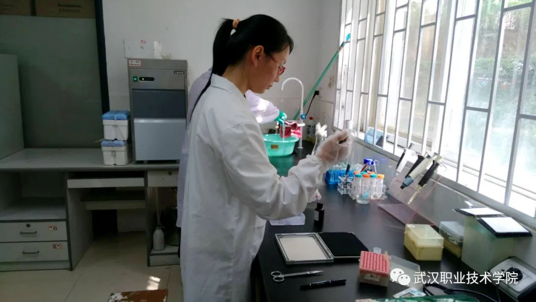 武汉职业技术学院这个学院值得报考，有很多毕业生都考取了博士…