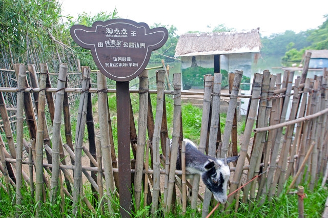 杭州旅游景点有哪些景点？杭州旅游十大必去打卡景点推荐-第143张图片