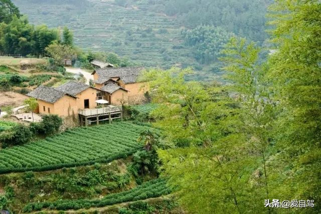 丽水的这座宝藏小县城，隐秘于浙西南的世外桃源