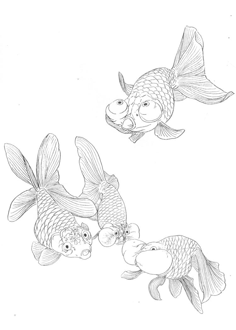 金鱼白描线稿资料,尽管拿走-墨尖族