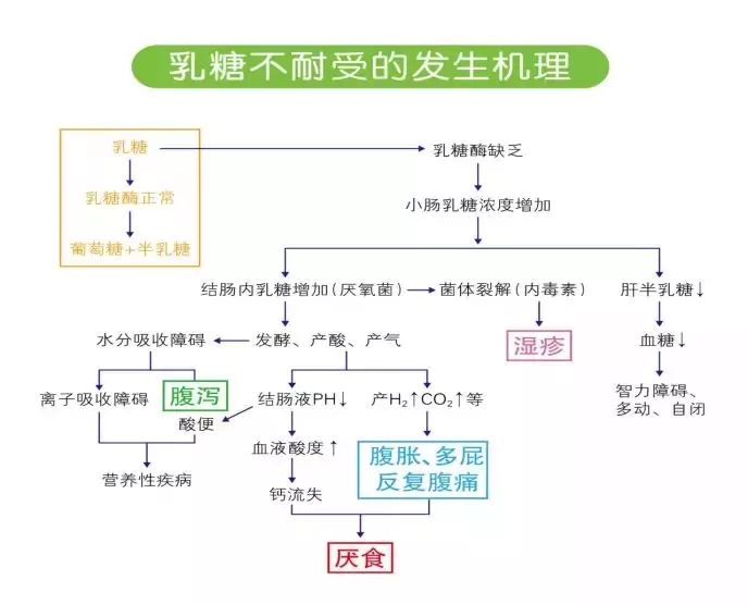 「荐读」腹泻奶粉PK乳糖酶，谁才是真正的“王者”