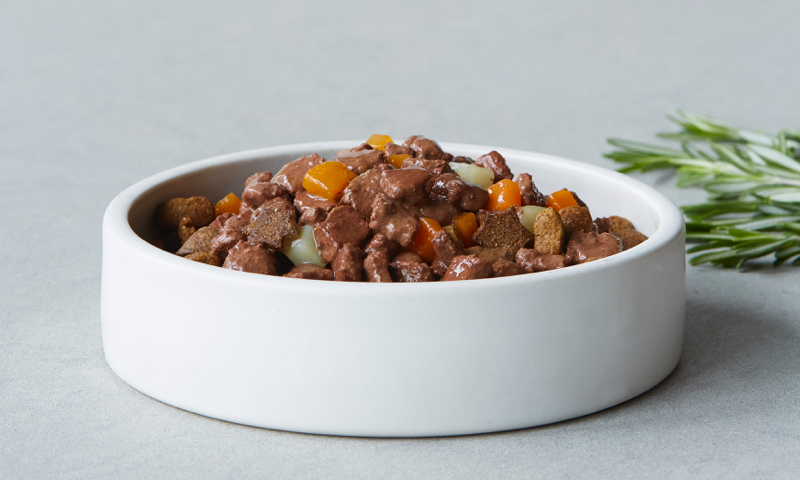 狗狗不喜欢吃狗粮，是天生还是主人宠的？怎么纠正狗狗挑食？