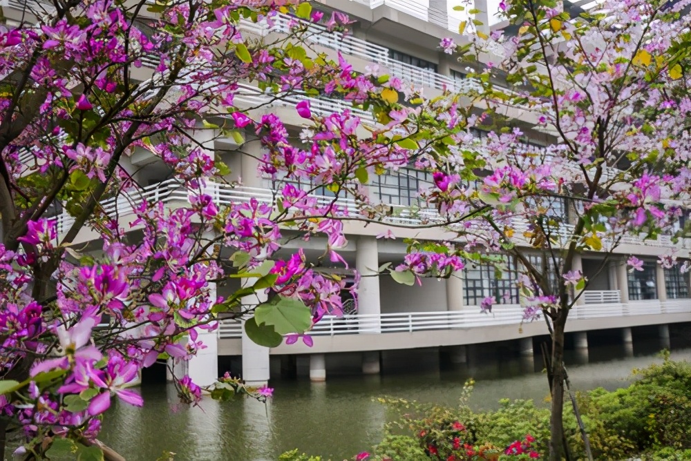 广东工业大学怎么样？录取分数、位次详情及简析