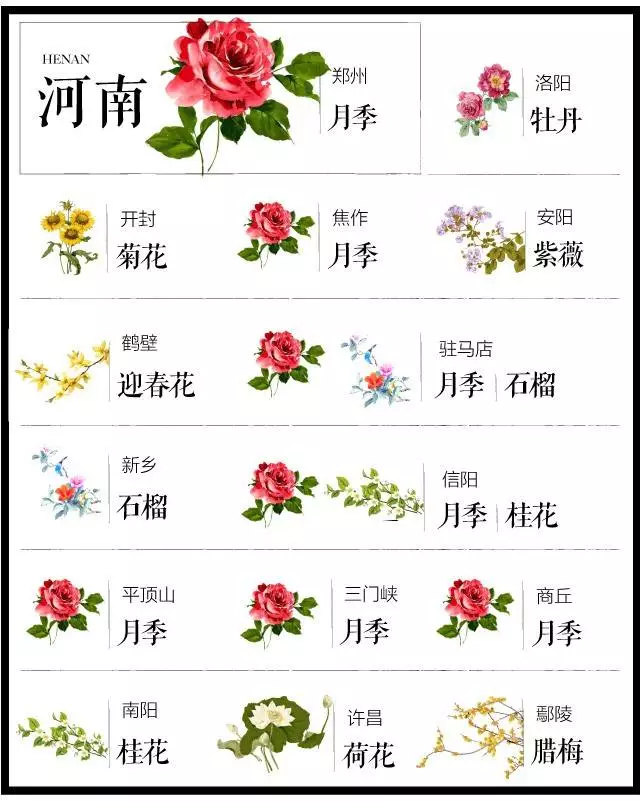 中国十大城市市花（史上最全中国各城市市花）