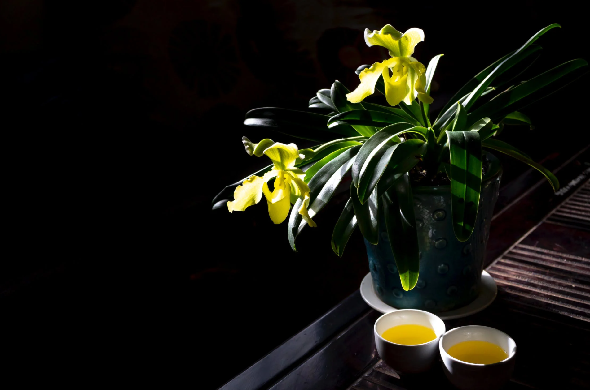 散文 | 杨绛:喝茶