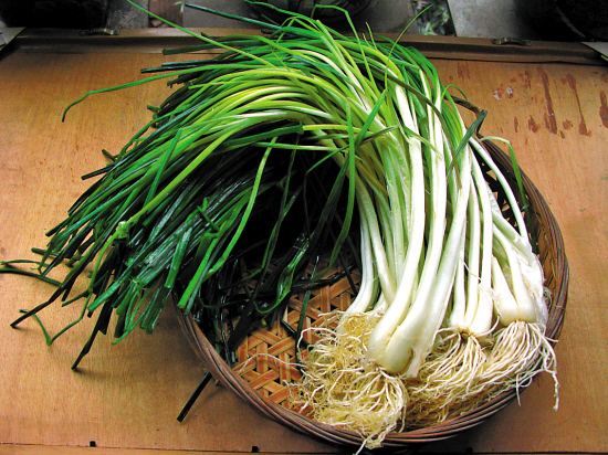 清明的逆袭：我是怎样从节气变成节日！休过清明假的请为我点赞！