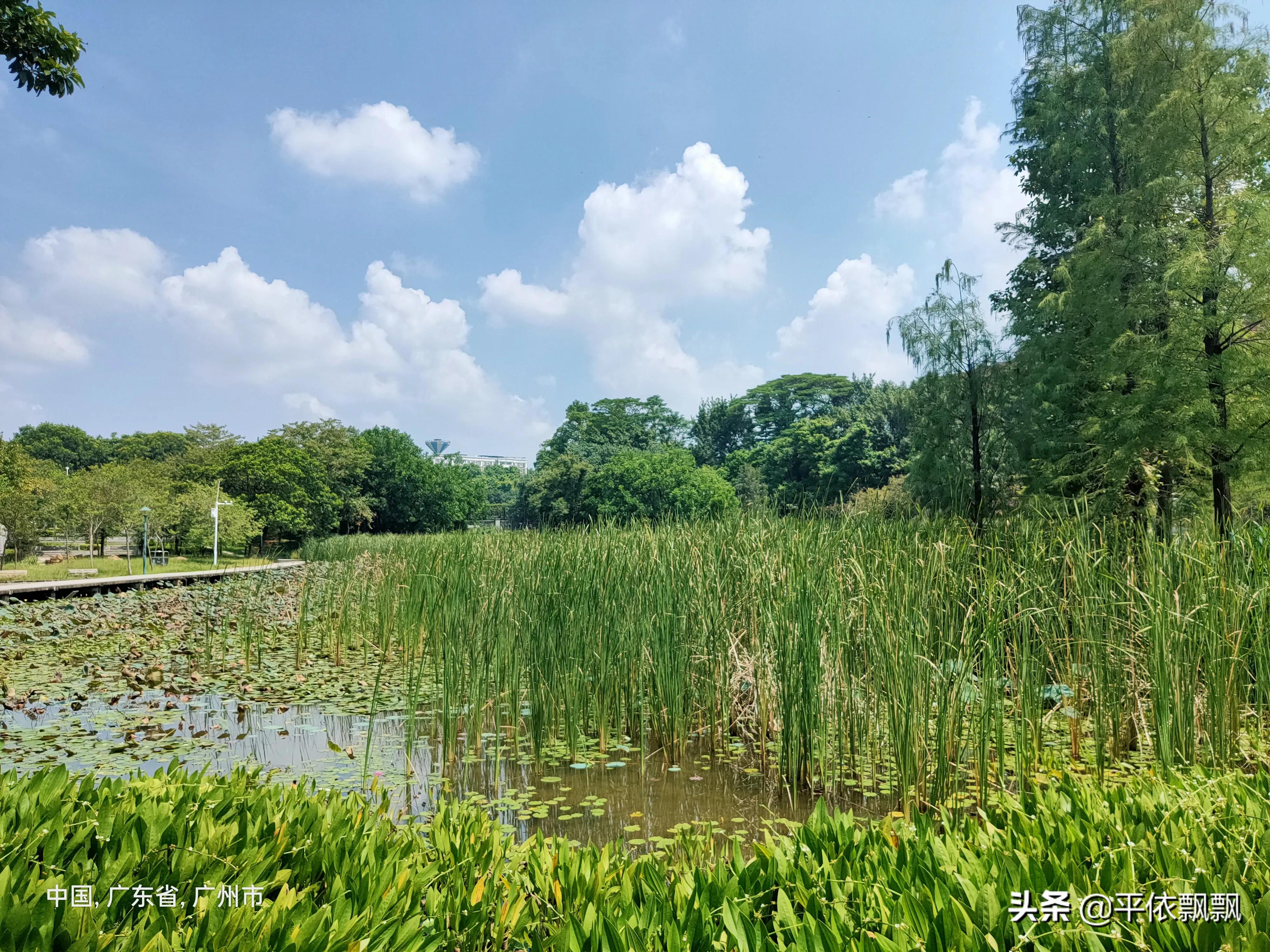 华南农业大学有五湖，一日能游完吗？