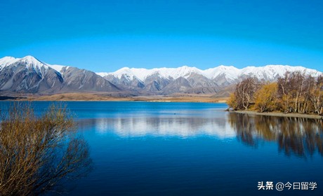 新西兰奥克兰大学留学申请条件