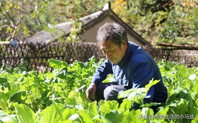 招聘男保姆（53岁男人）