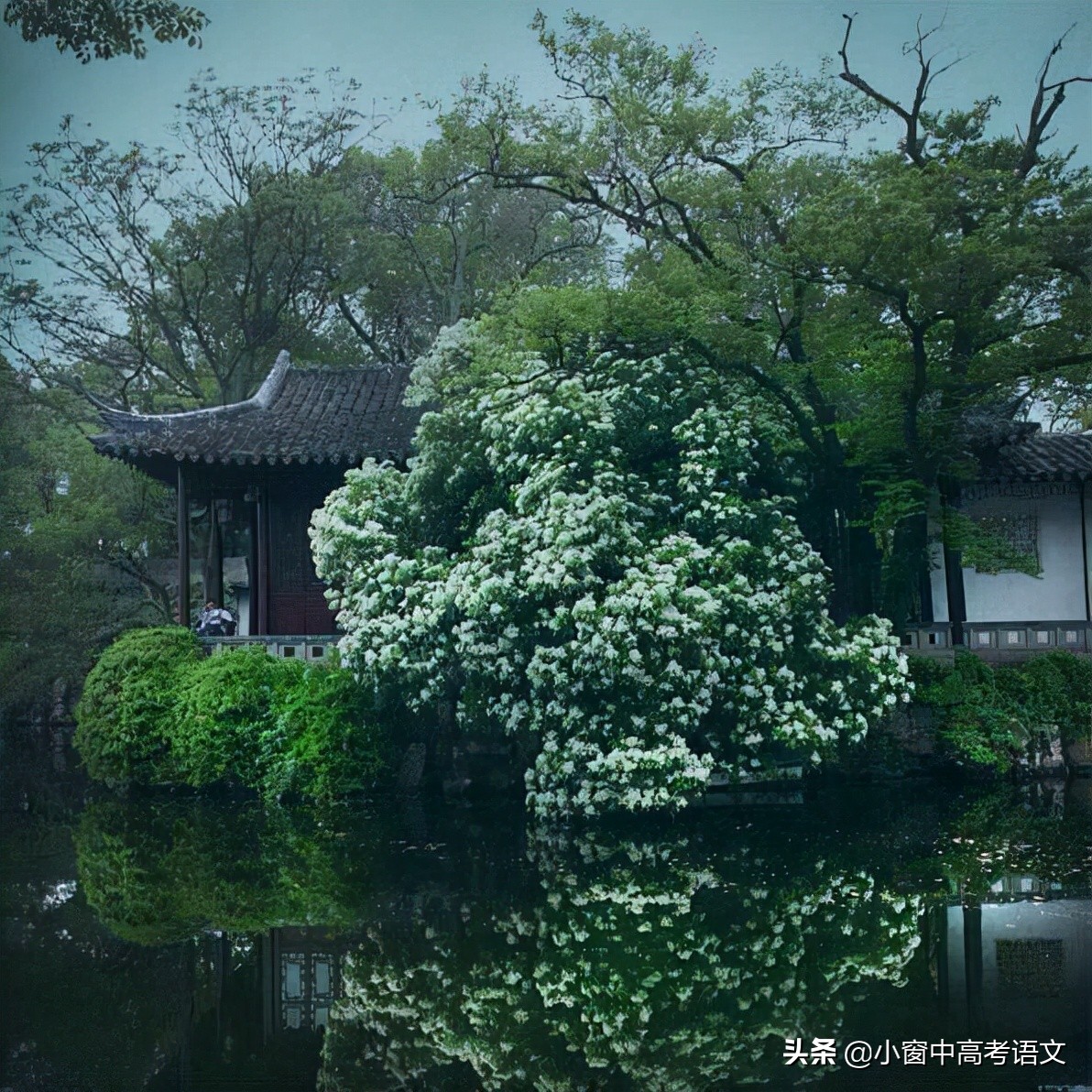 「高考语文」120个文言实词汇编：第二辑