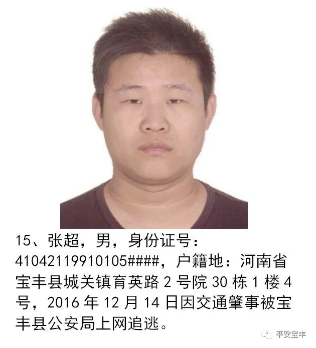 网上逃犯,网上逃犯名单查询系统