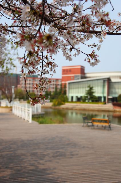 本科进线率100%？带你了解无锡高中的排名