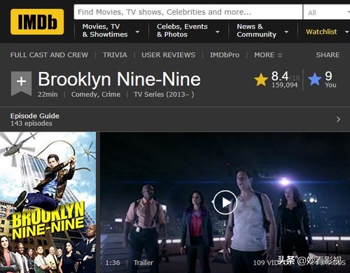 Hail Nine-NIN——《麻烦警察第6季》