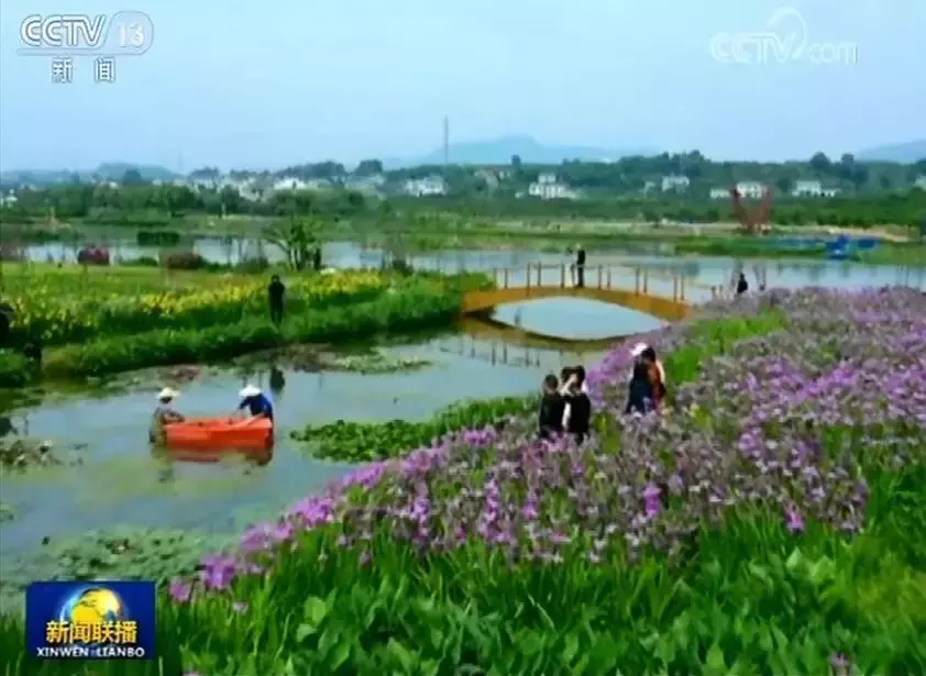 三峡大学综合实力强:理工有院士,文艺上央视,足球出国门